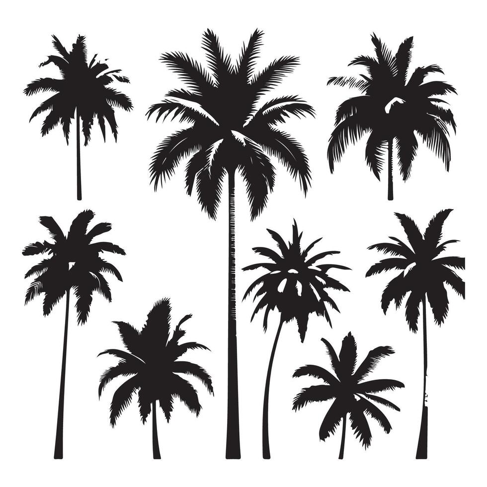 Group of palm tree profiles isolated against a bright white canvas vector