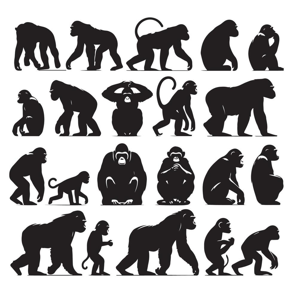 Darkened outline set of ape species vector