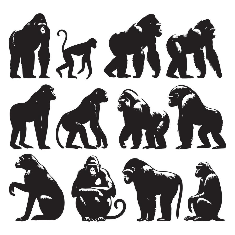 Silhouette display of ape creatures vector