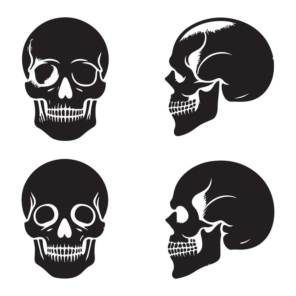 Diverse skull head silhouette collection vector
