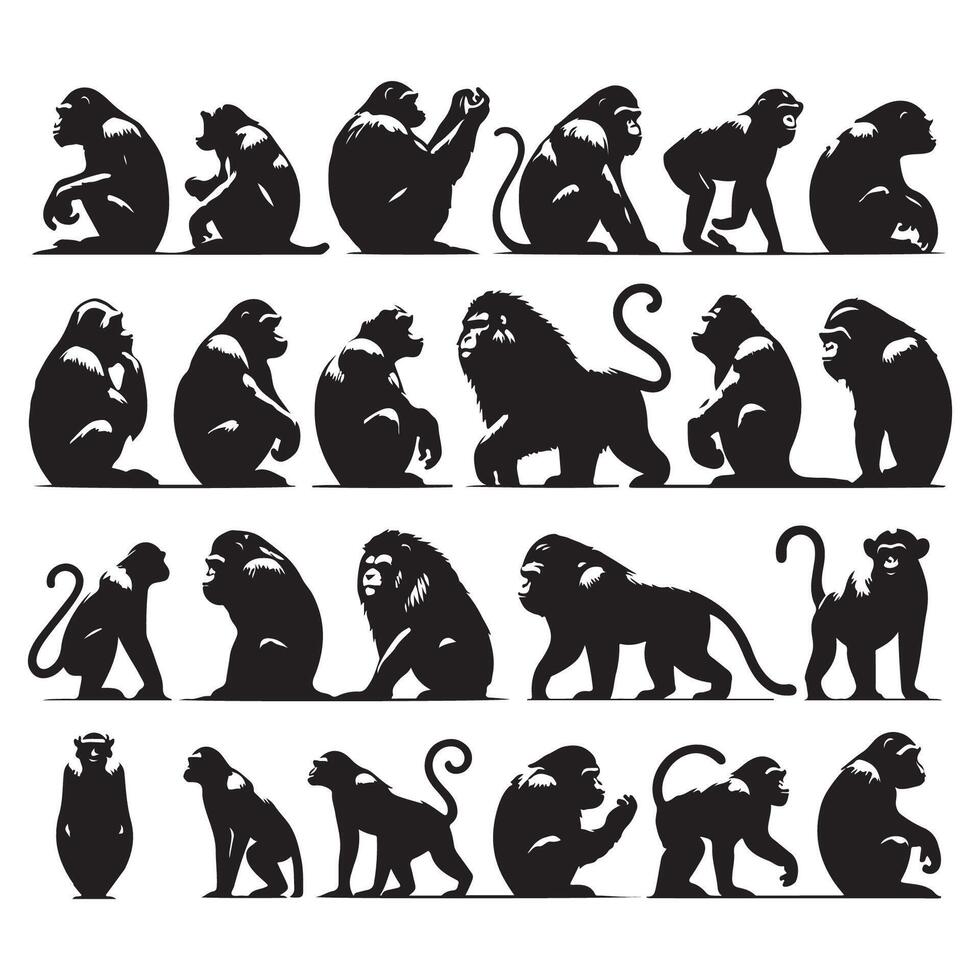 Outline set of ape animals vector