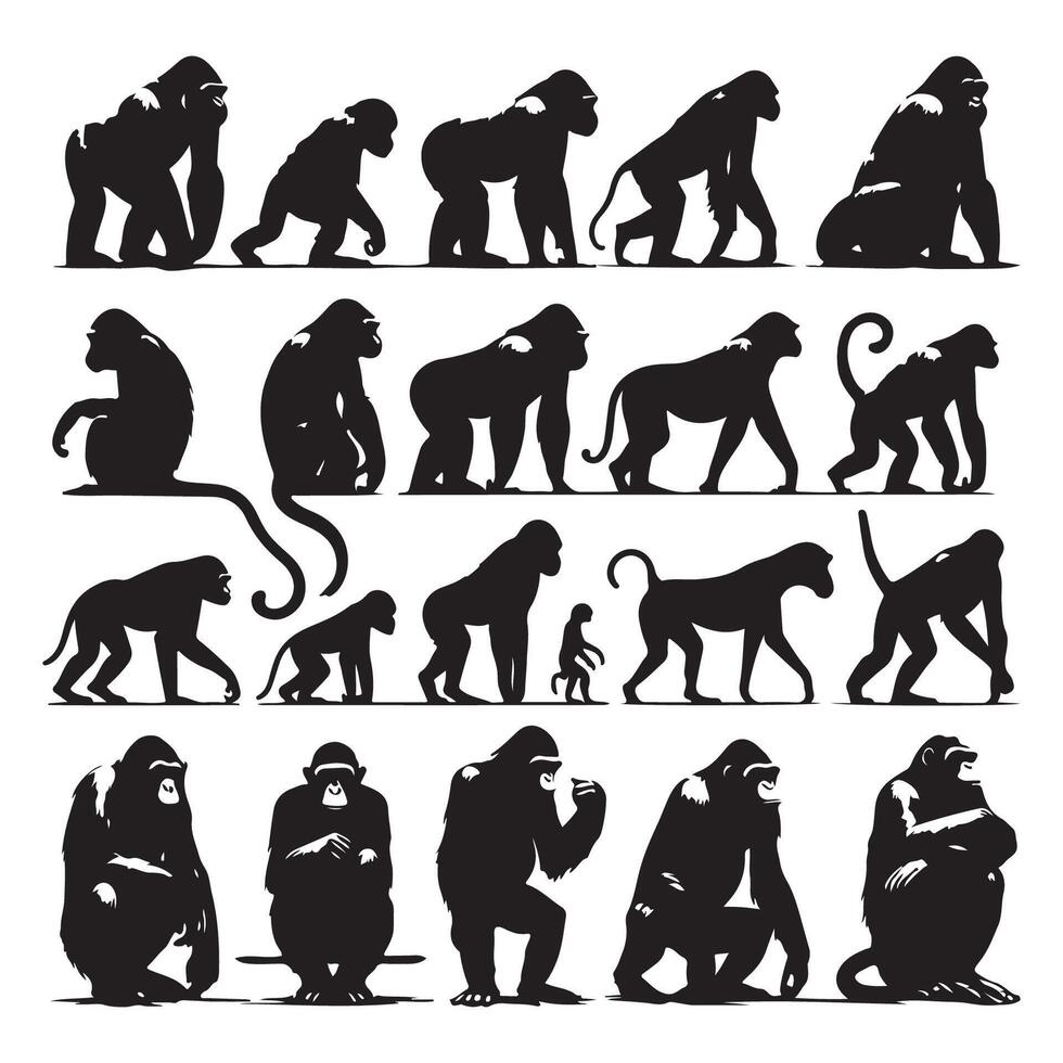 Shadow set of various ape species vector