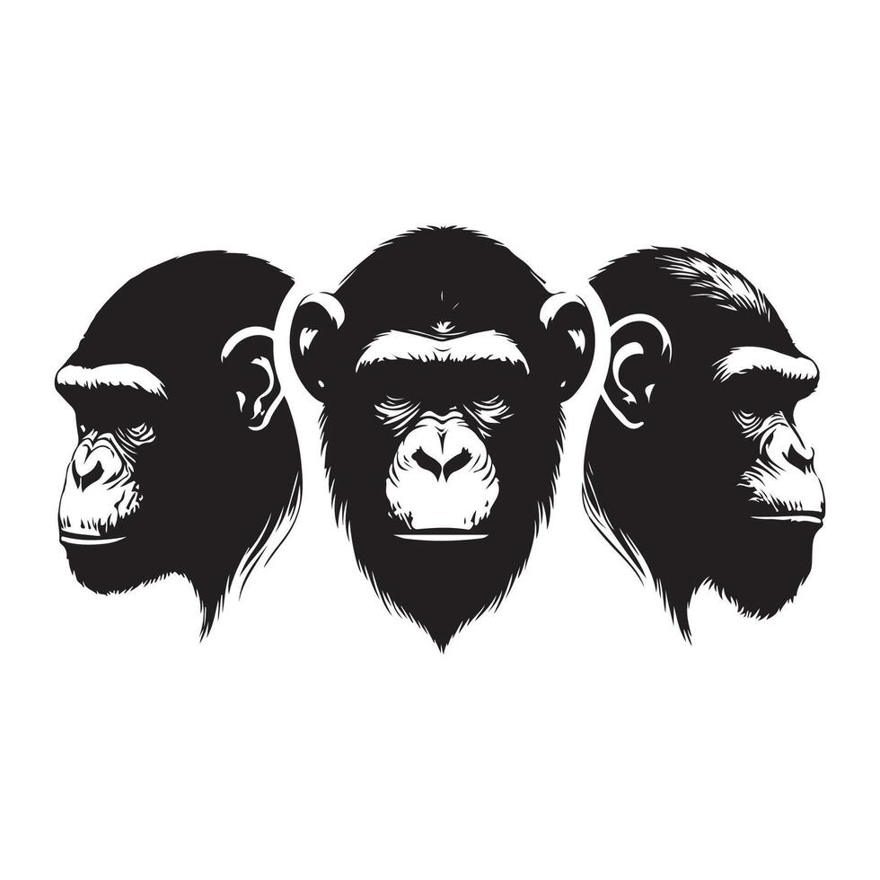 Ape head outline collection vector