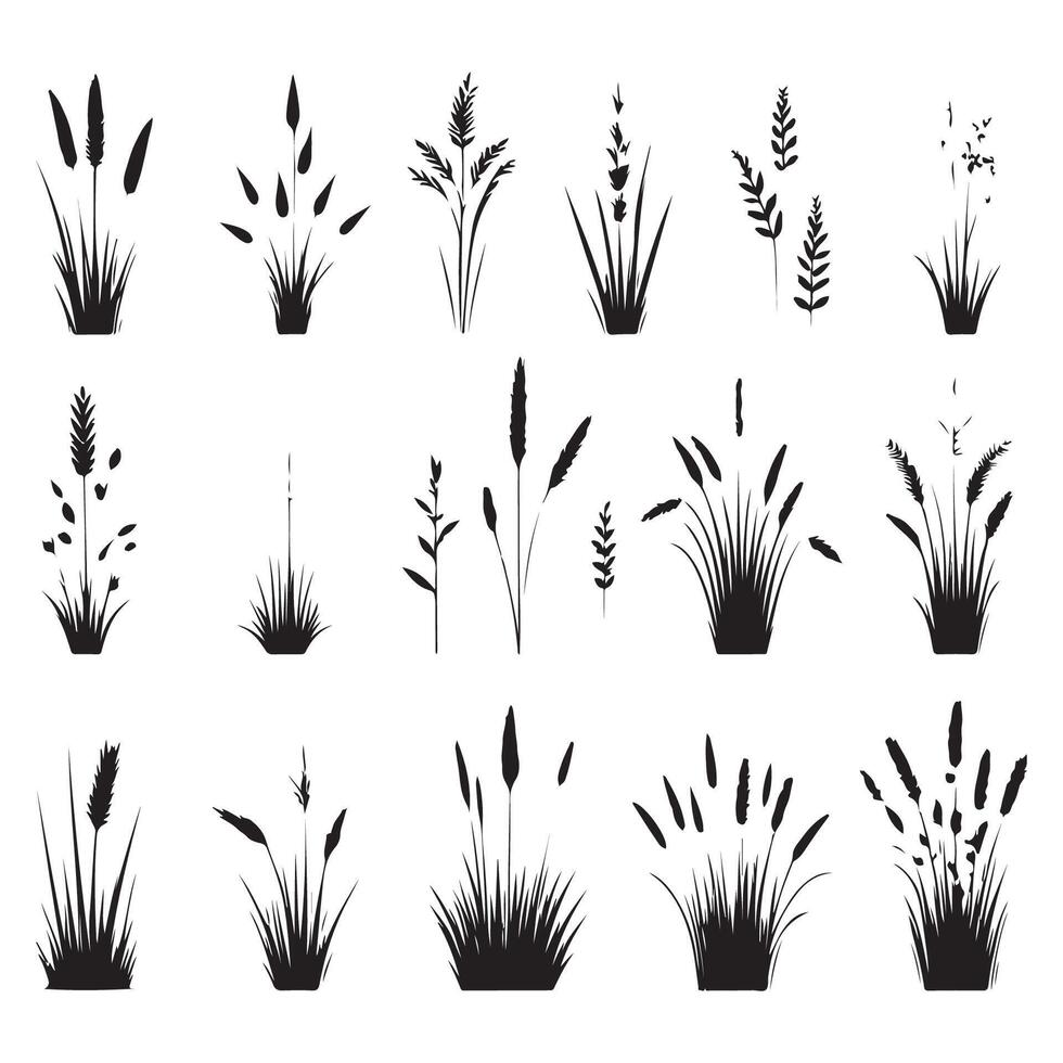 Grass outlines in silhouette form vector