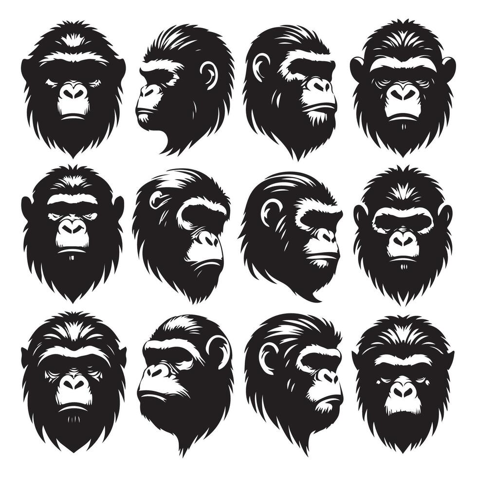 Set of silhouettes for ape heads vector