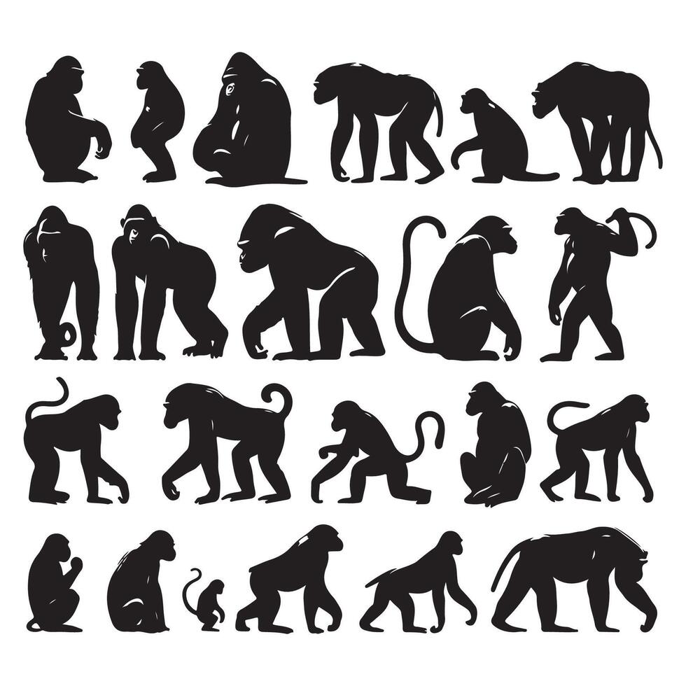 Group of ape animals in silhouette vector