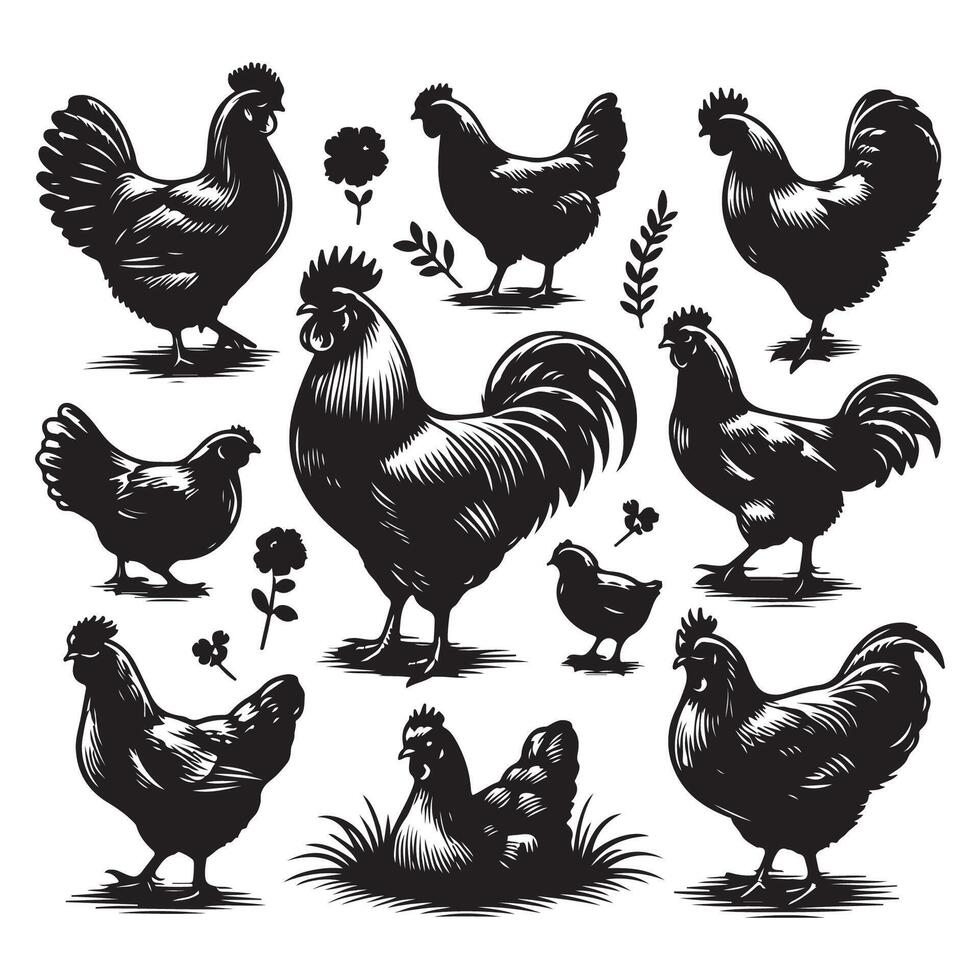 Silhouette set featuring chickens vector