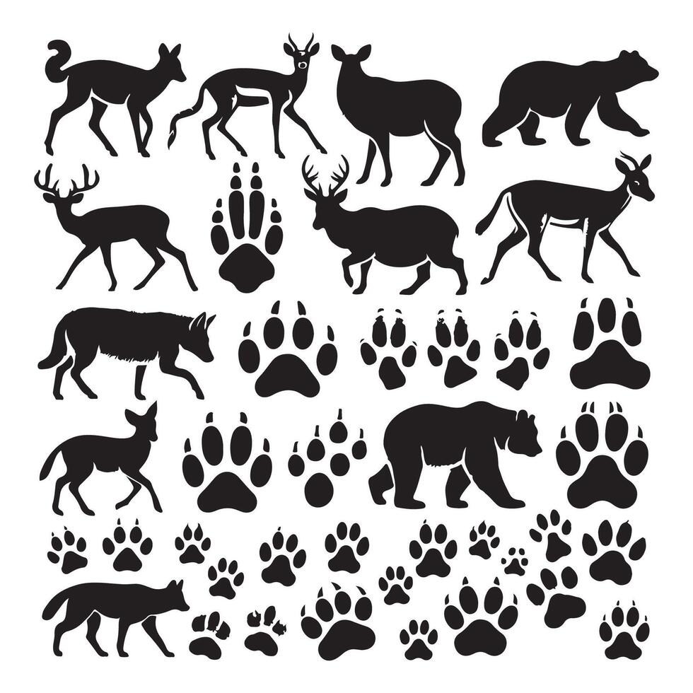 Assembly of animal shadows silhouetted on a white background vector