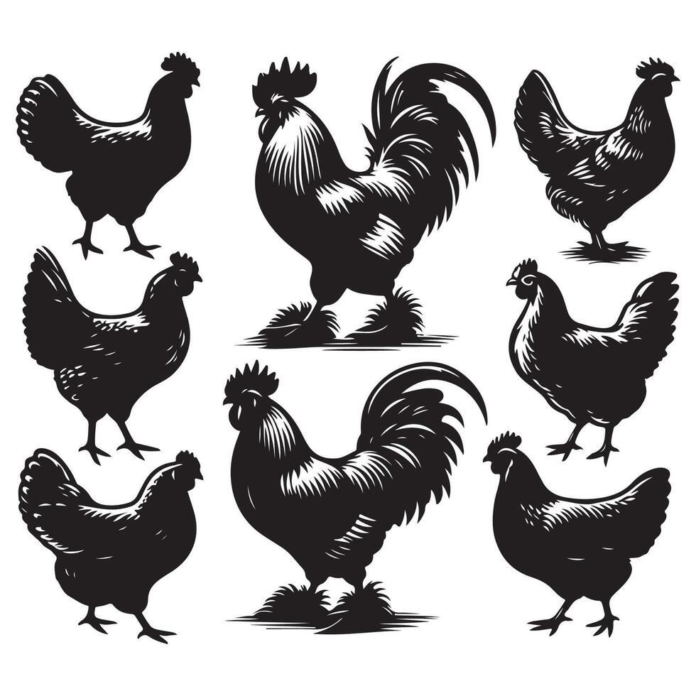 Assorted chicken silhouettes vector