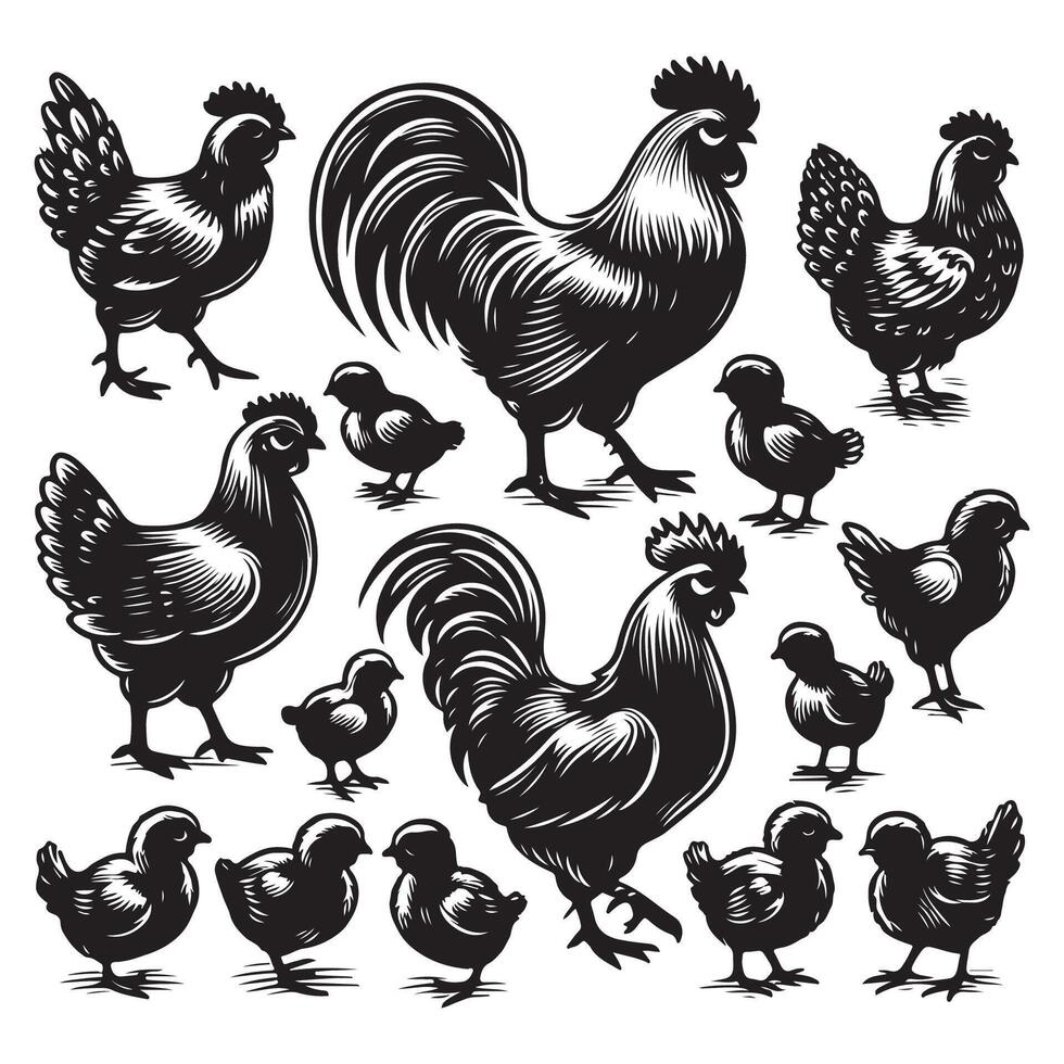 Chicken silhouette collection vector