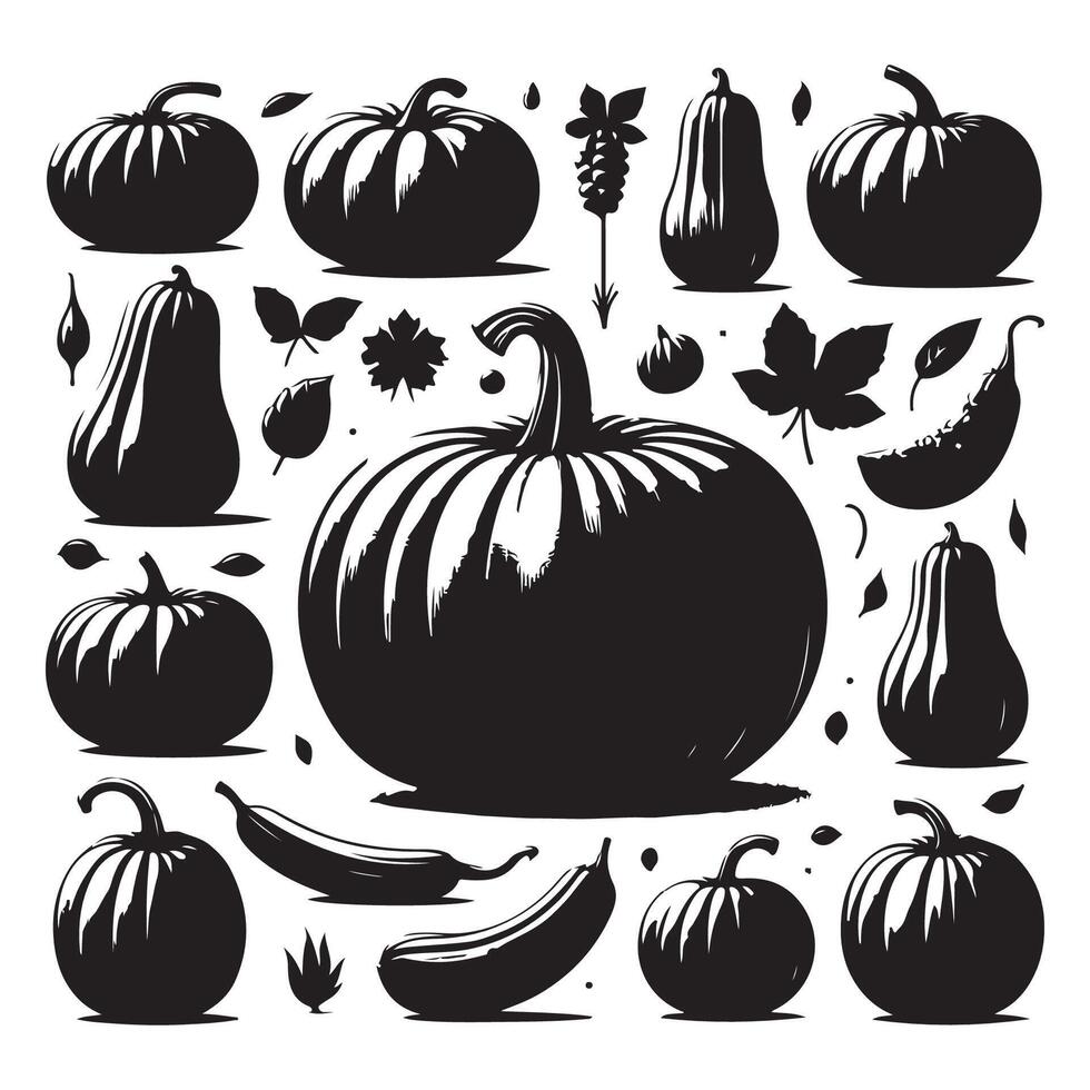 Collection of pumpkin shapes set on a white background vector