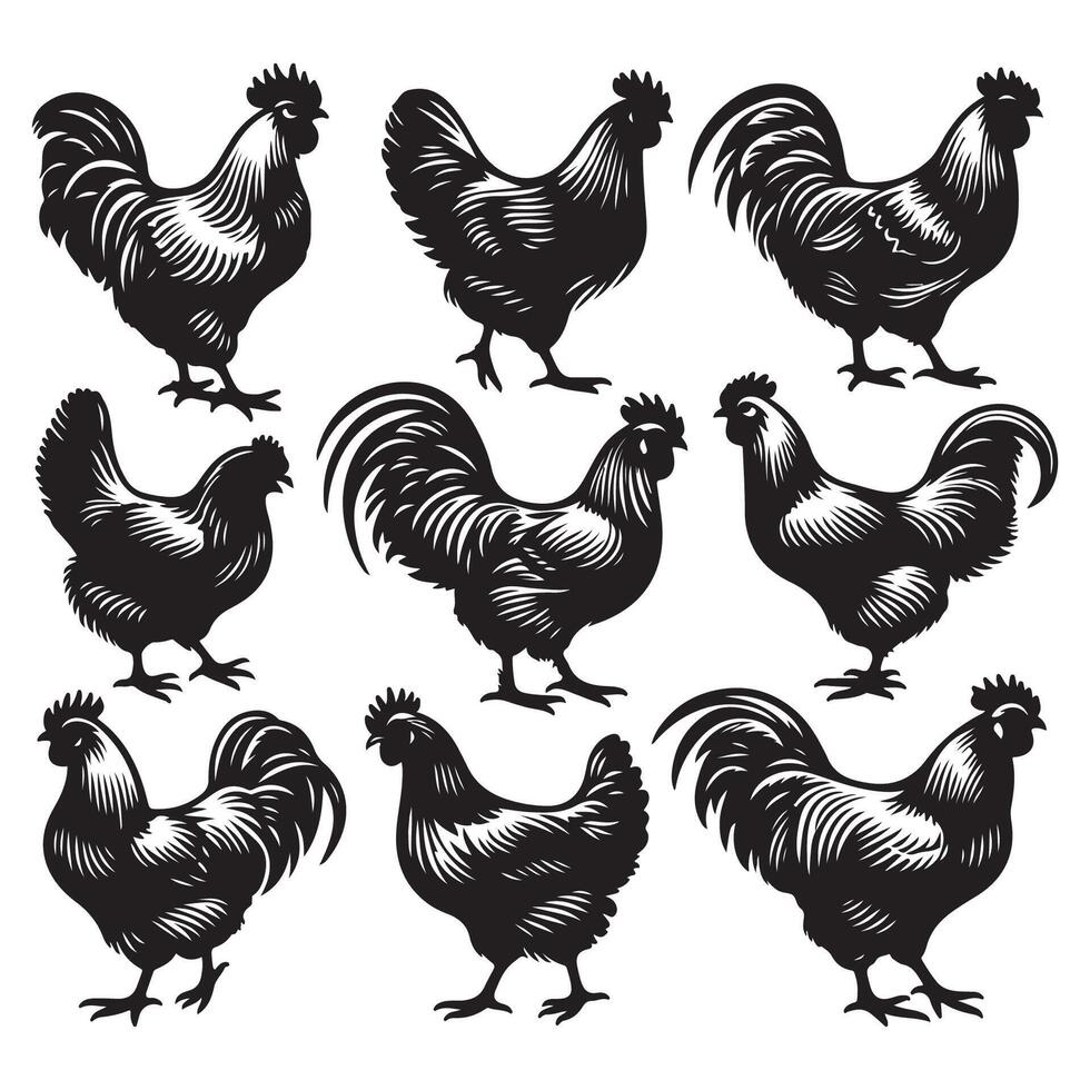 Chicken silhouettes assortment vector