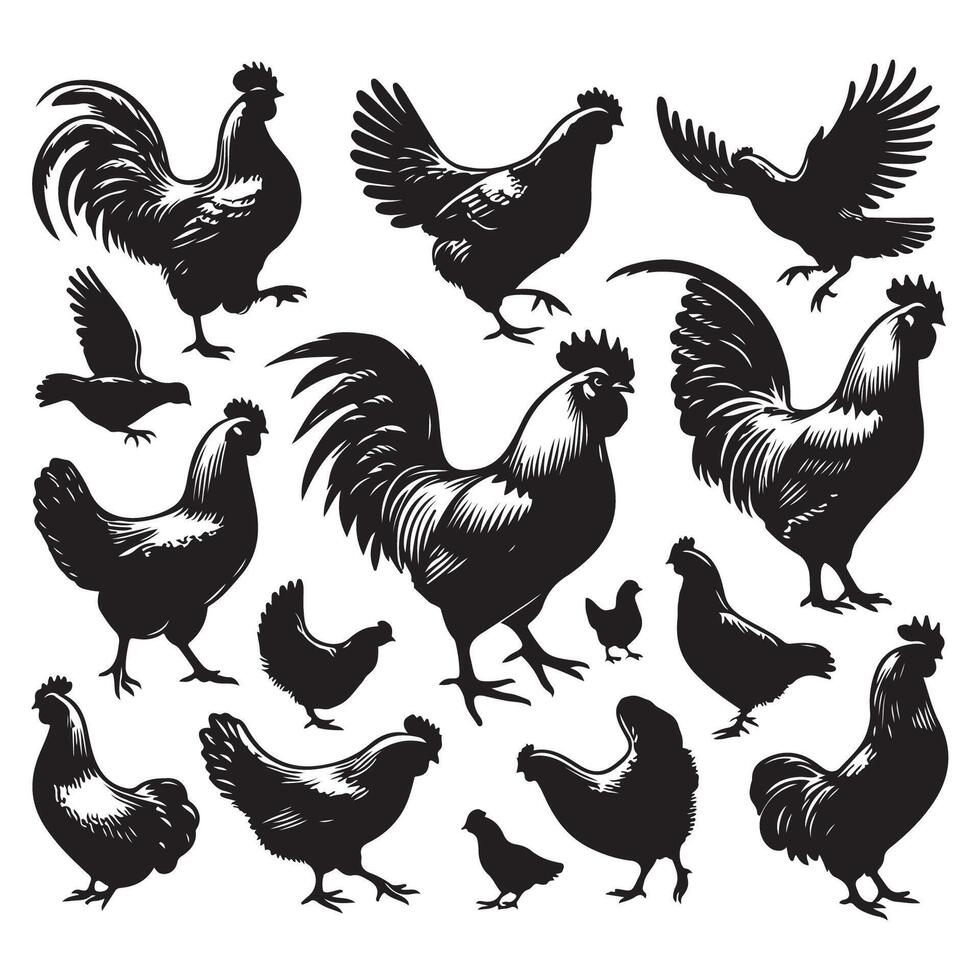Silhouette gallery of chickens vector