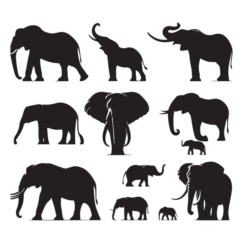 Batch of black and white elephant silhouettes on a white backdrop vector