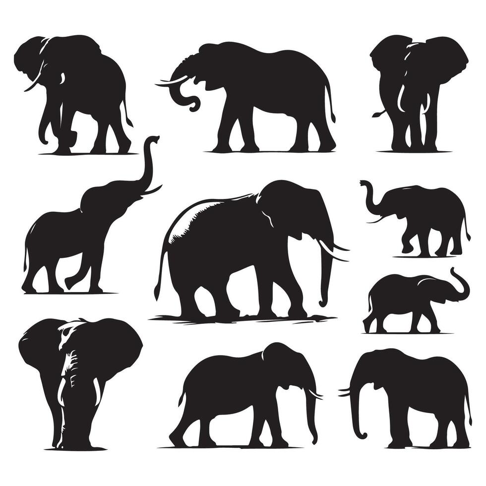 Assortment of elephant silhouettes set against a blank white background vector