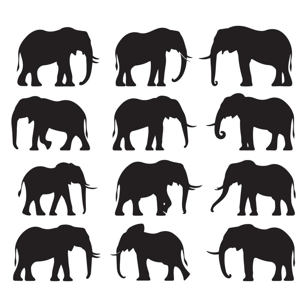 Set of elephant silhouettes isolated on a white background vector