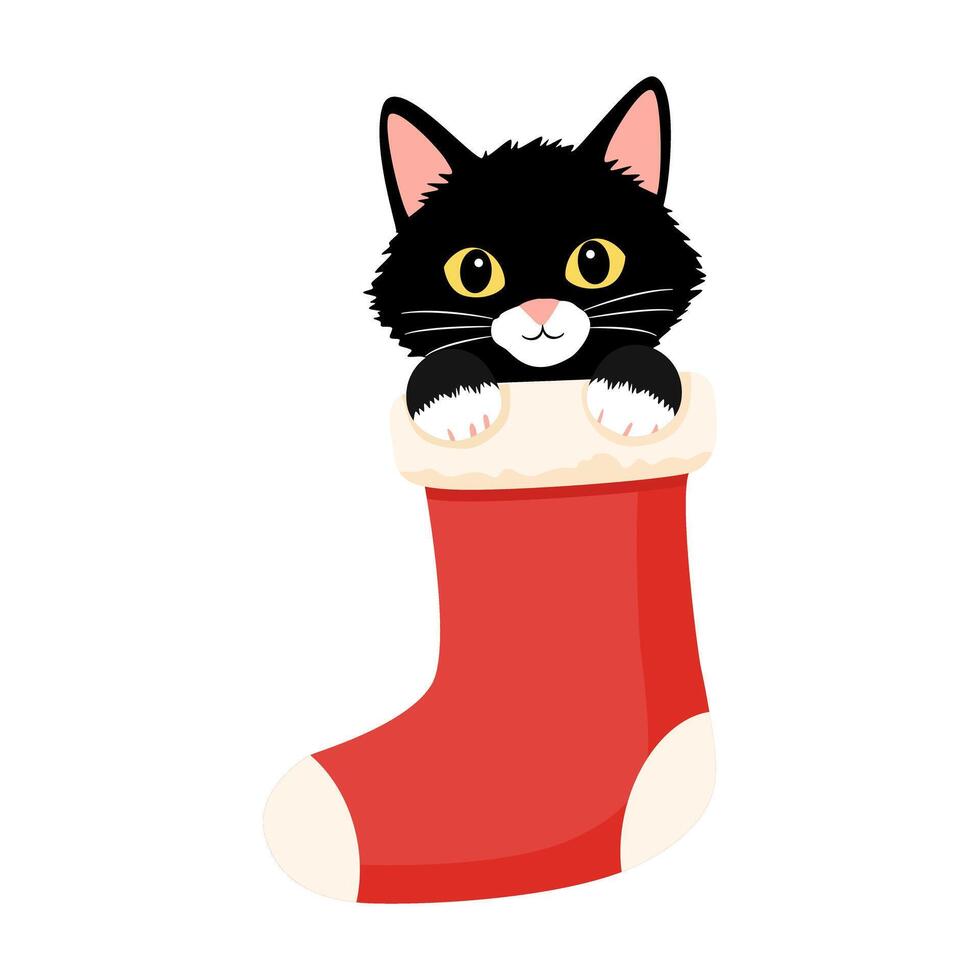 Adorable Black Cat in Christmas Stocking vector