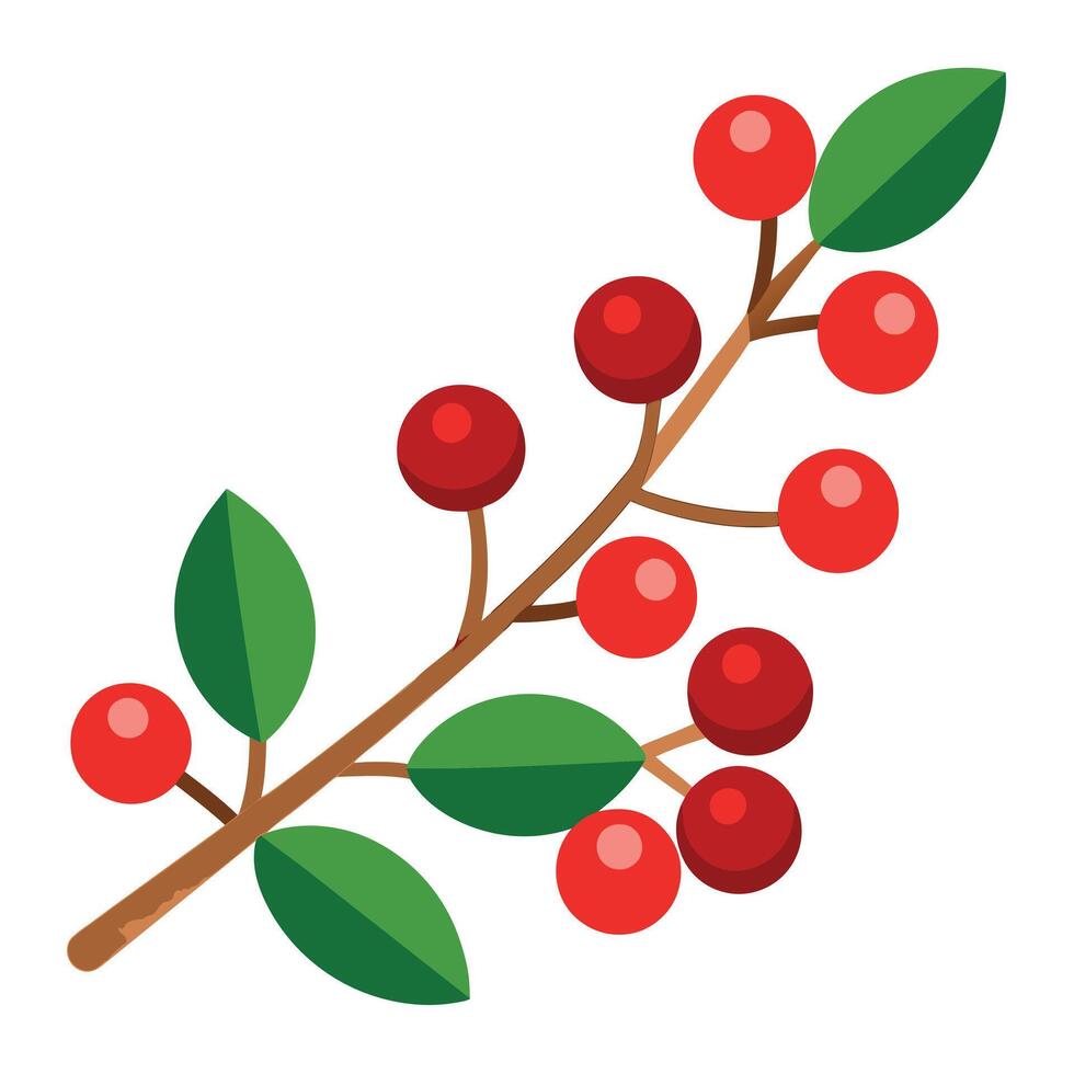 A branch with red berries on it vector