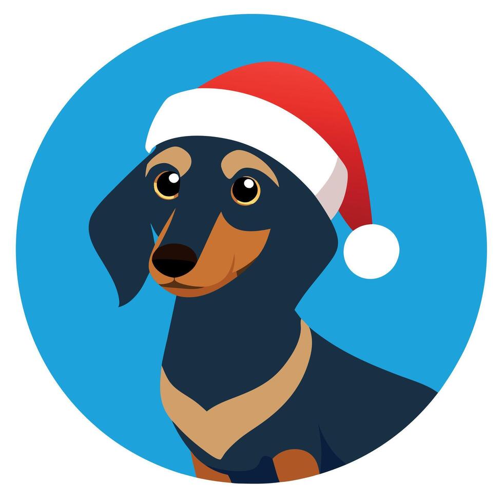 Cool looking dachshund dog wearing santa hat isolated on blurred bokeh background. vector