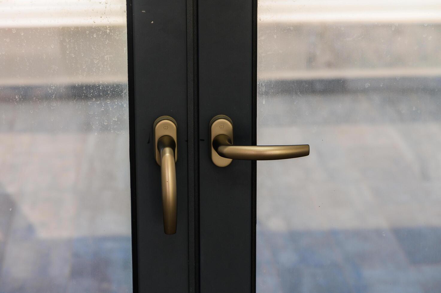 Elegant Door Handles on Modern Glass Doors in a Bright, Airy Building Reflecting Contemporary Architecture and Design Aesthetics photo