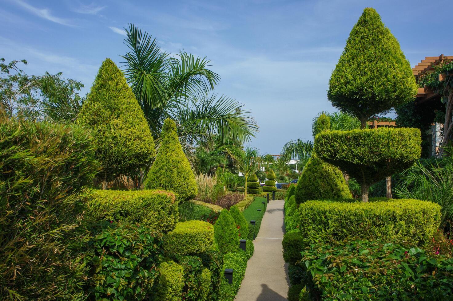 Lush Green Topiary Trees Line a Serene Pathway in a Tranquil Garden Oasis on a Sunny Afternoon photo