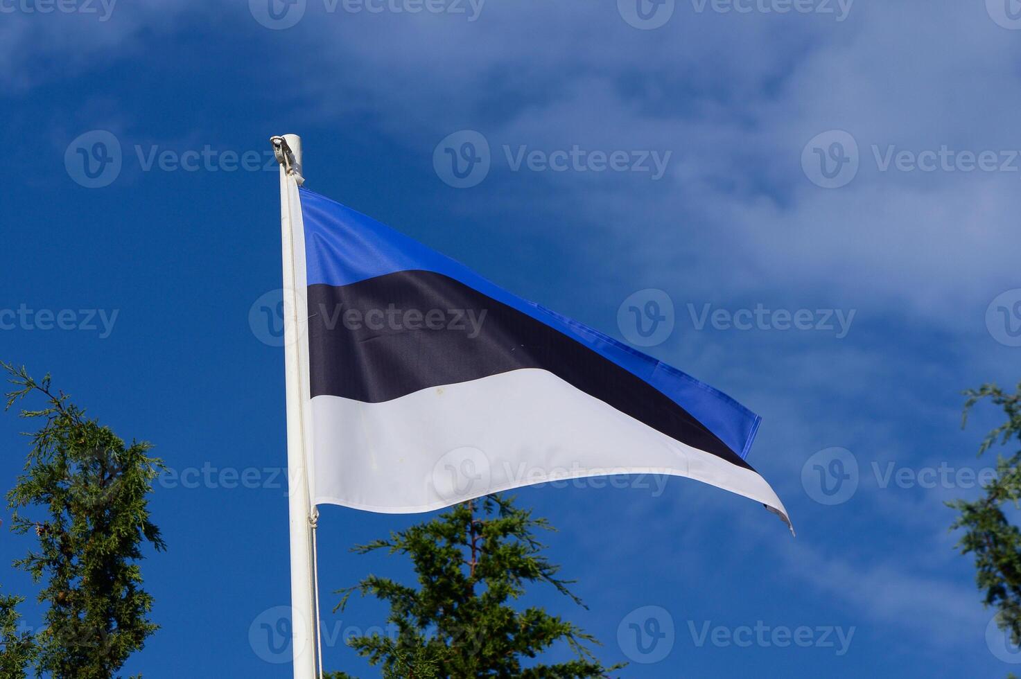 Waving Estonian flag against a bright blue sky with wispy clouds and lush green trees surrounding the scene photo