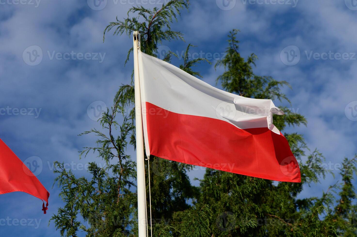A vibrant Polish flag waving proudly against a backdrop of blue sky and lush greenery photo