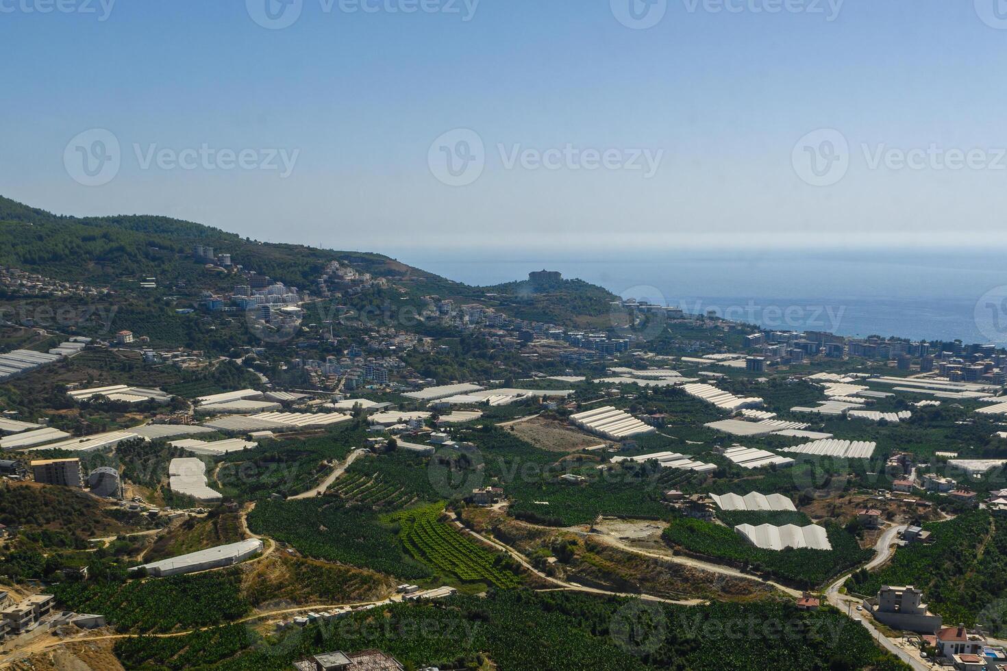 A breathtaking view of green fields and coastal landscape in a vibrant agricultural region under a clear blue sky photo