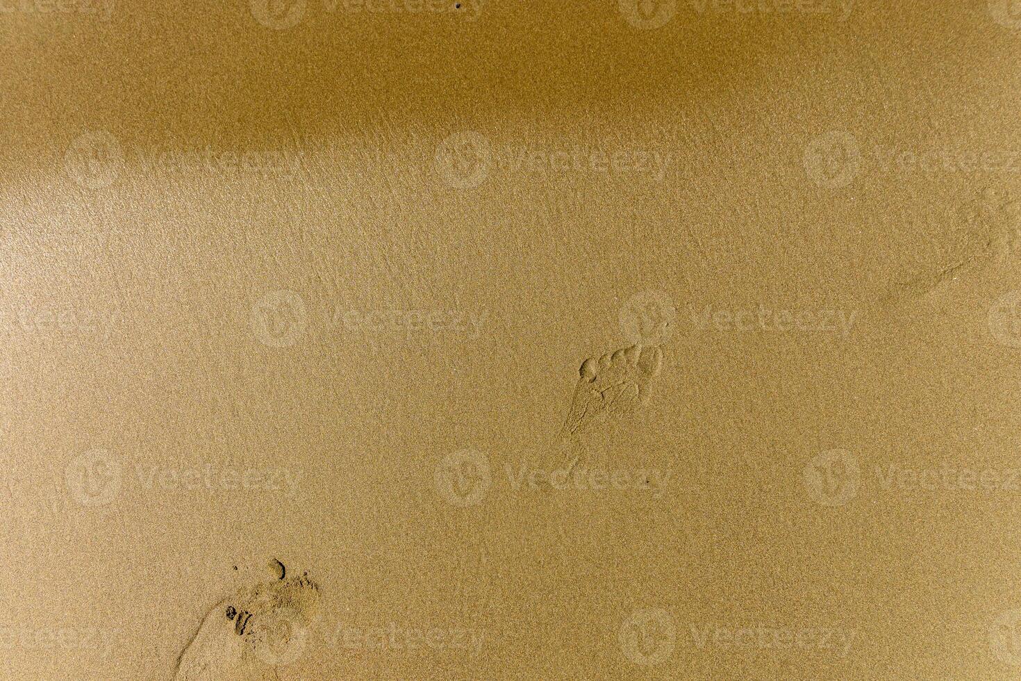 Footprints softly etched in the golden sand by the serene shoreline during a tranquil sunset walk photo