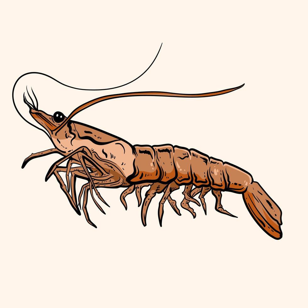 Illustration Hand drawn shrimp or lobster with text for design apparel tattoos or merchandise element vector