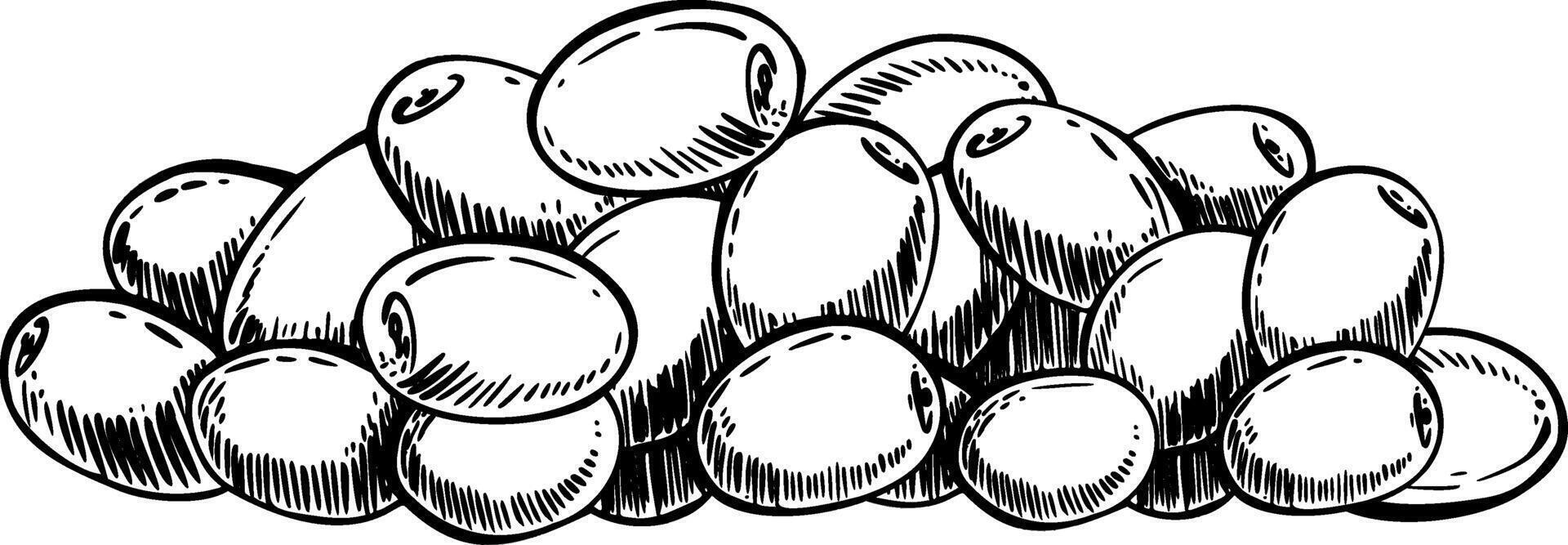 A pile of olive fruit and berries. Black ink line art. Olive tree harvest, healthy food, snack. Hand drawn illustration for extra virgin olive oil product label design. Isolated from background vector