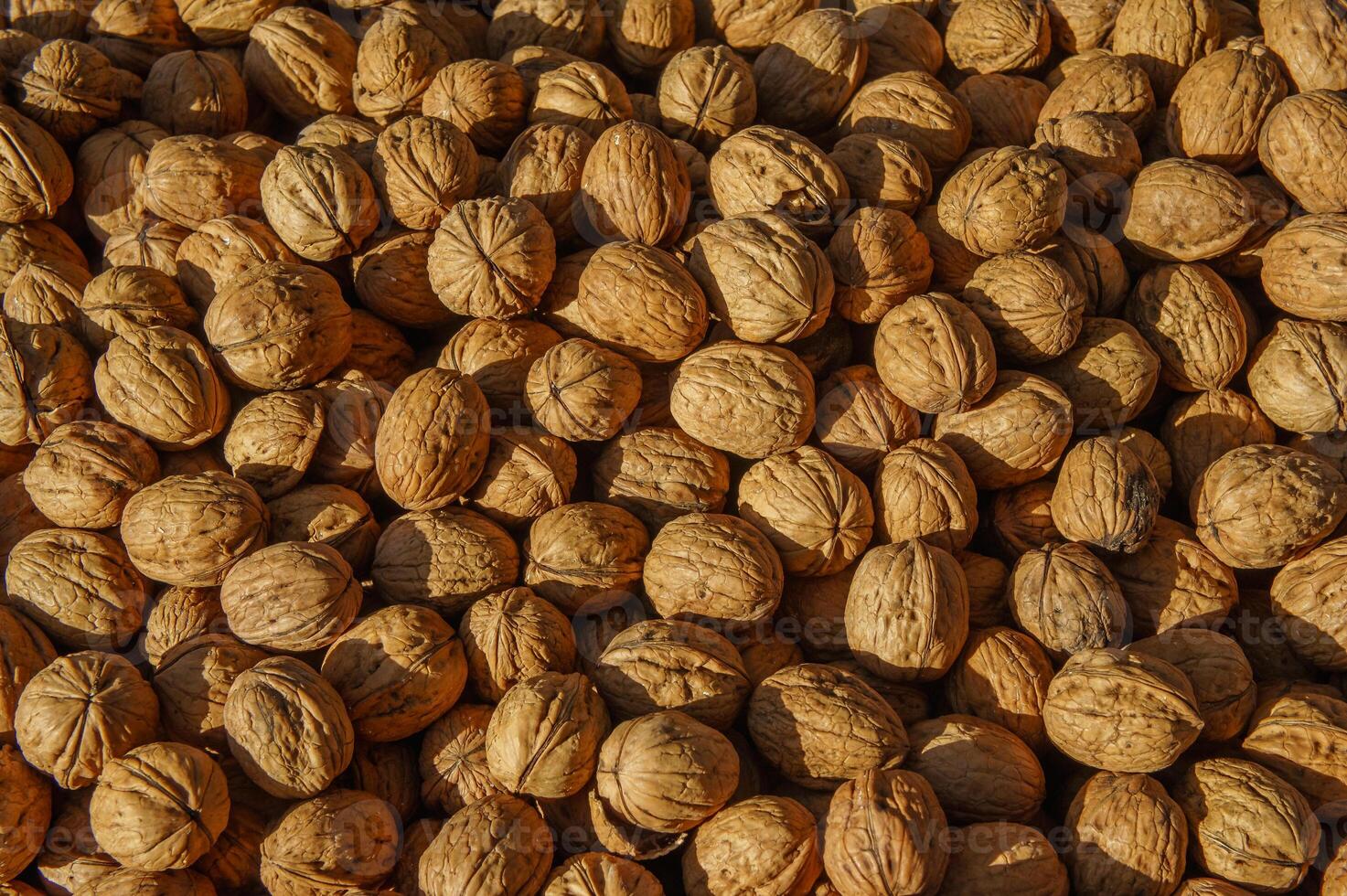 Walnuts in shell on the market photo