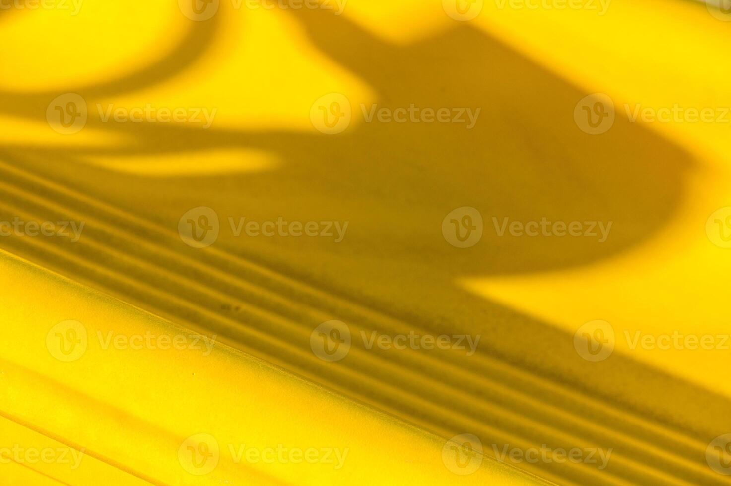 Shadows dance over vibrant yellow surface with intricate patterns captured in warm afternoon light photo