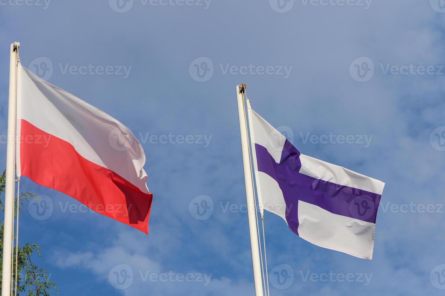 Polish and Finnish flags waving gently against a bright blue sky on a sunny day, showcasing a moment of cultural pride and unity photo