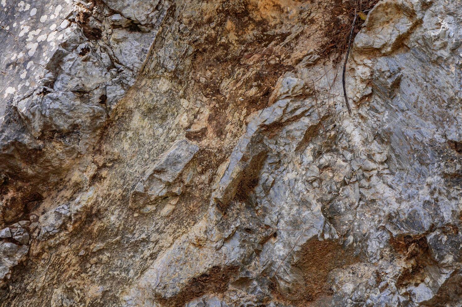 Detailed view of rocky terrain showcasing various textures and colors in a natural setting during daytime photo
