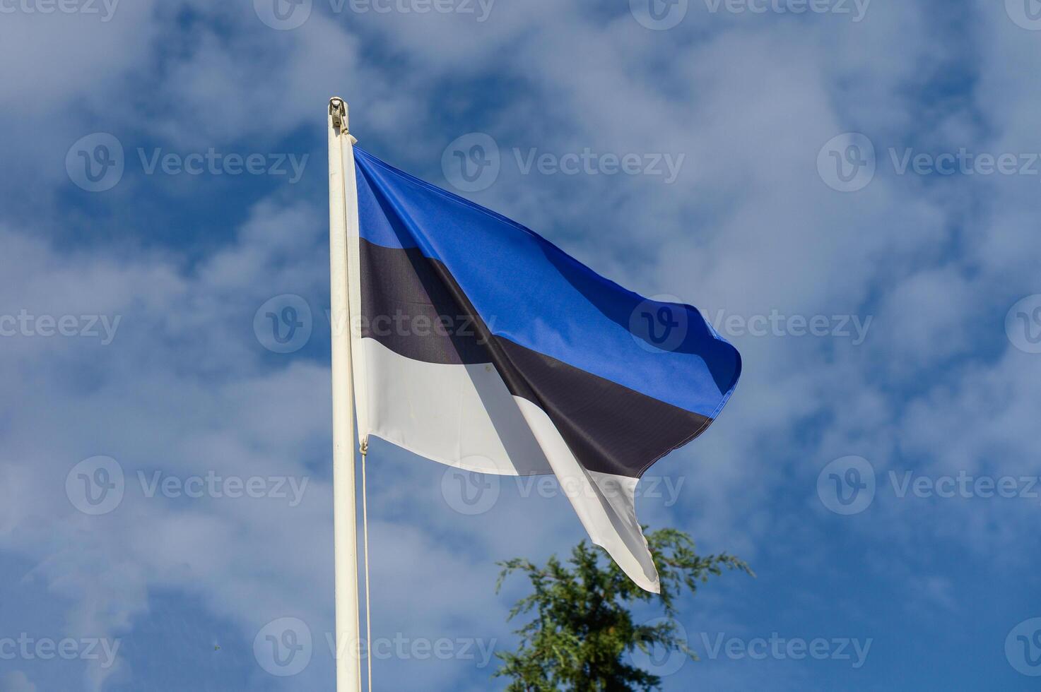 A vibrant Estonian flag waving gracefully against a backdrop of bright blue skies and fluffy clouds photo