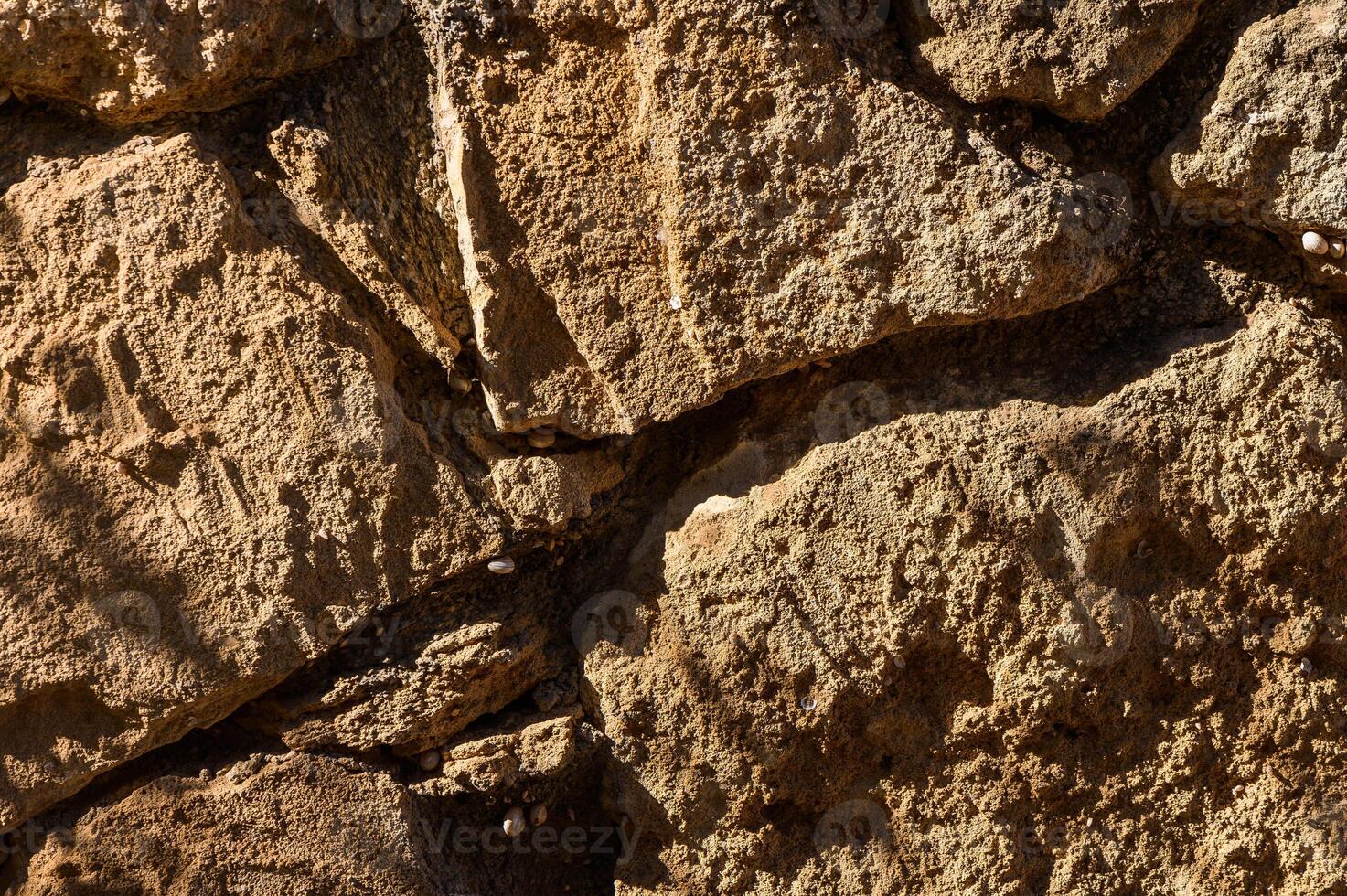 Textured Ancient Stone Wall Showcasing Weathered Surfaces and Organic Patterns Under Warm Sunlight photo