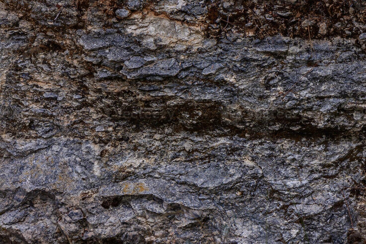 Close-up view of textured rock surface with various shades of gray and intricate patterns in a natural outdoor setting photo