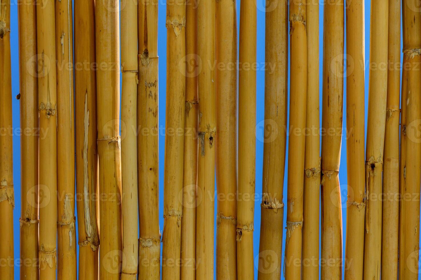 Natural Bamboo Backdrop Creates a Warm and Inviting Atmosphere Suitable for Relaxation and Creativity Indoors or Outdoors photo