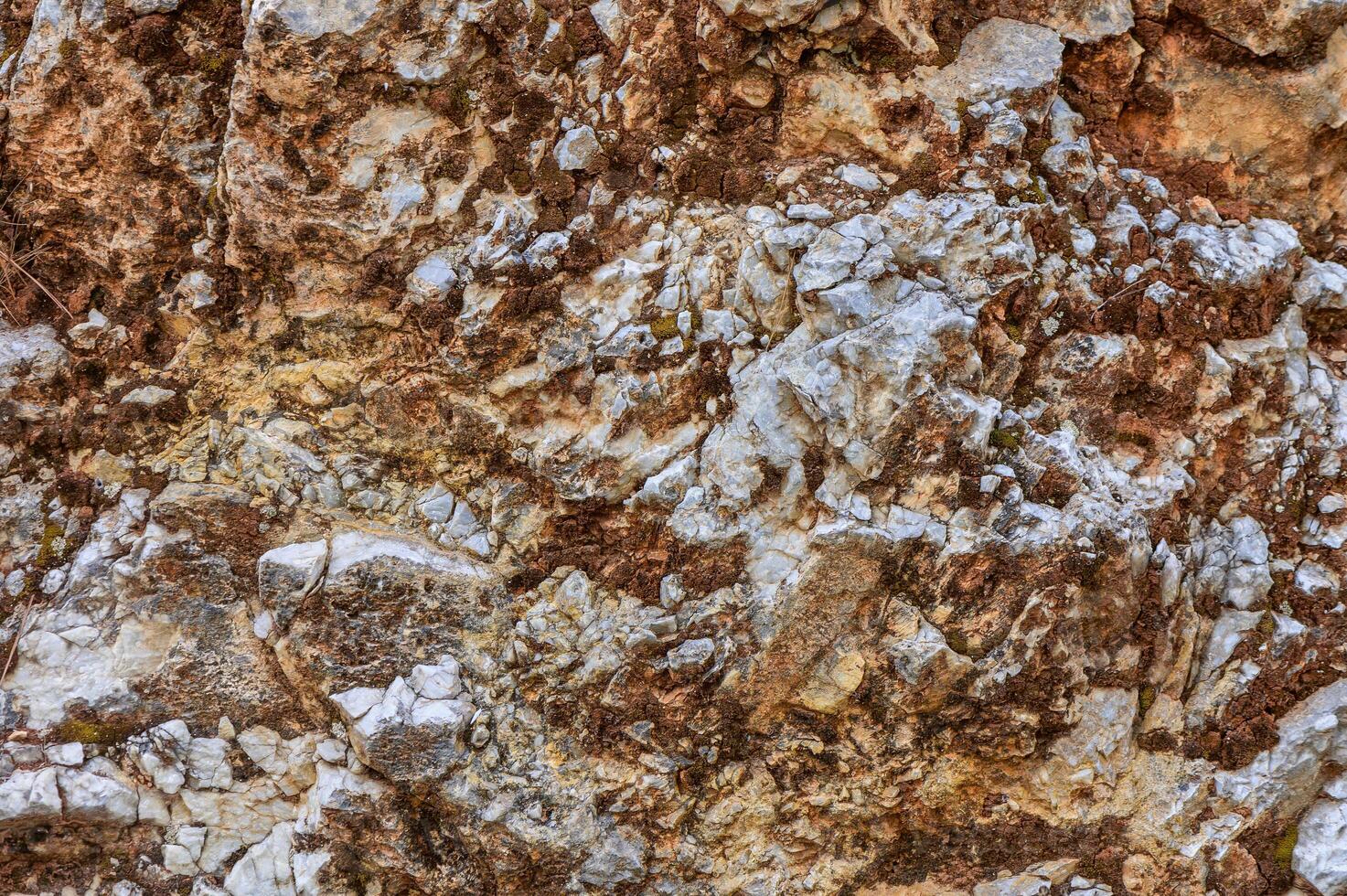 A close-up view of textured rock formations showcasing intricate layers and colors in a natural habitat during daylight photo
