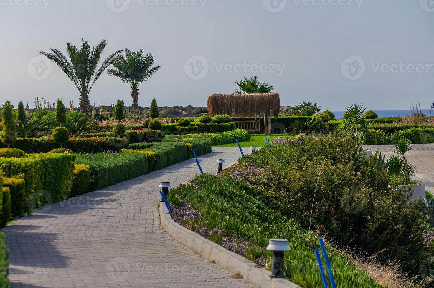 Strolling along a picturesque garden pathway lined with vibrant greenery and palm trees by the serene seaside in the afternoon light photo
