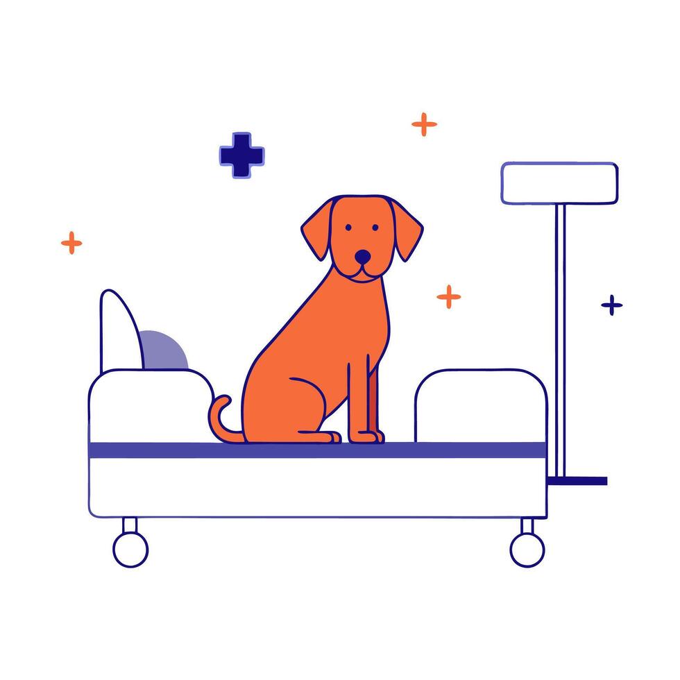 A dog sitting on a bed in a hospital room vector