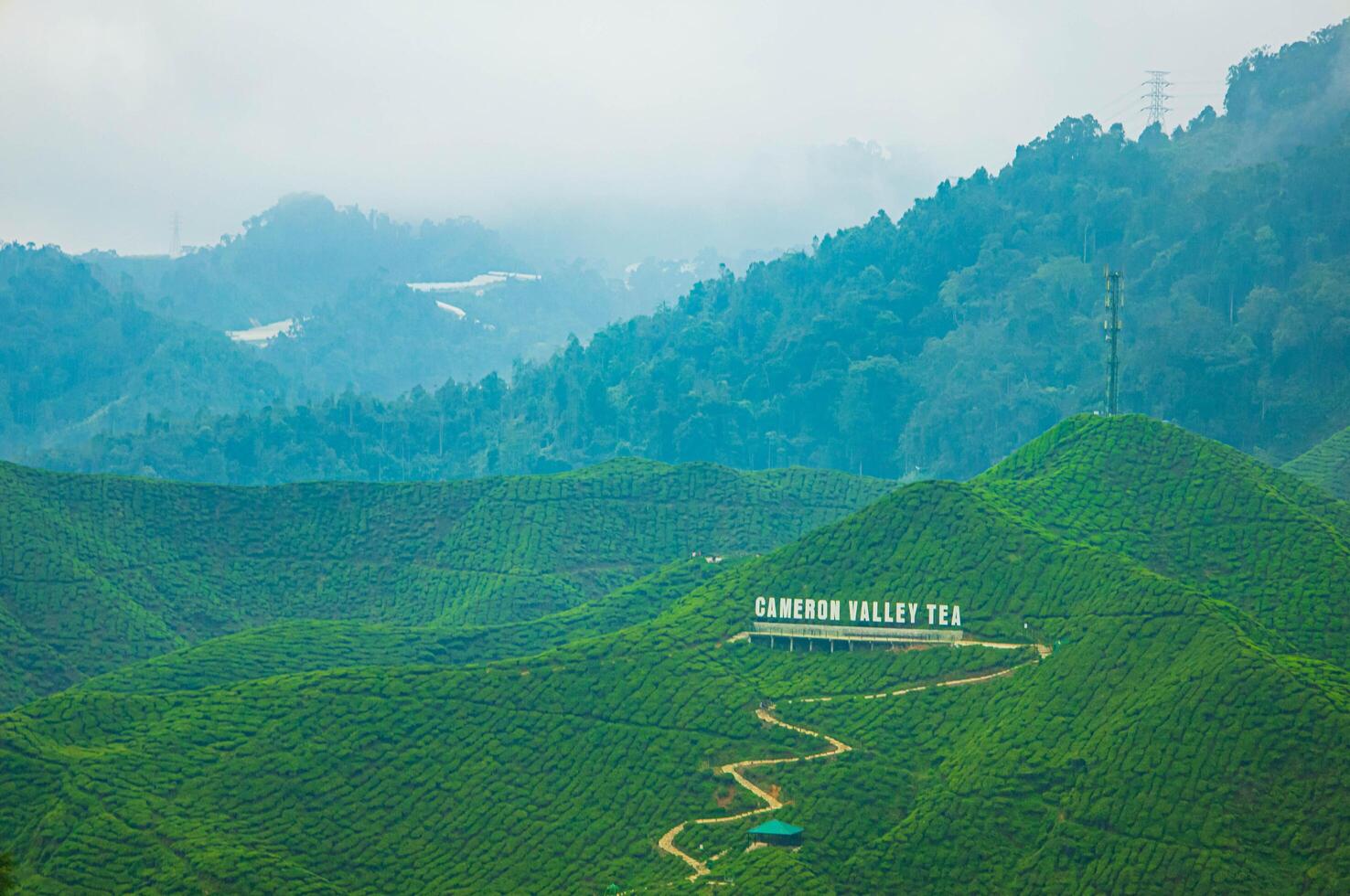 Aerial view of tea plantation on a hill, surrounded by mountains and forest, with a vibrant rural atmosphere, Cameron highlands, Malaysia. photo