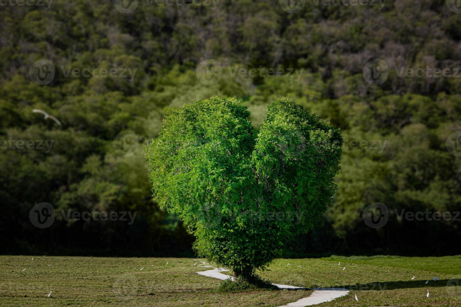 A scenic of heart tree with a clear sky and lush greenery. photo