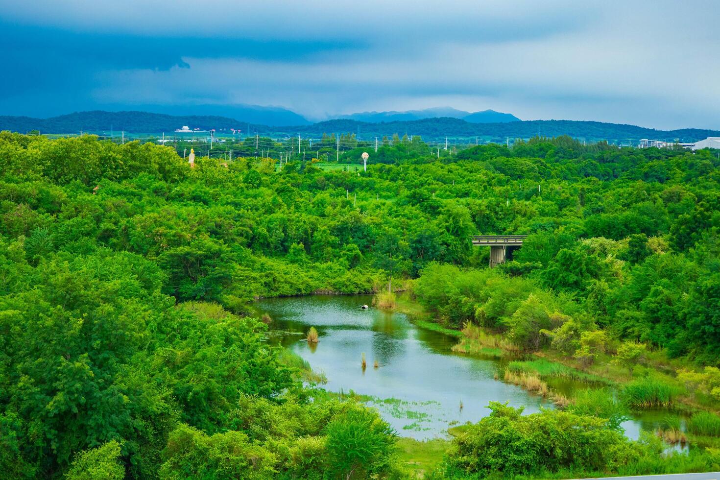 A serene landscape surrounded by lush green trees, with a gentle river flowing through the forest under a bright sky. photo