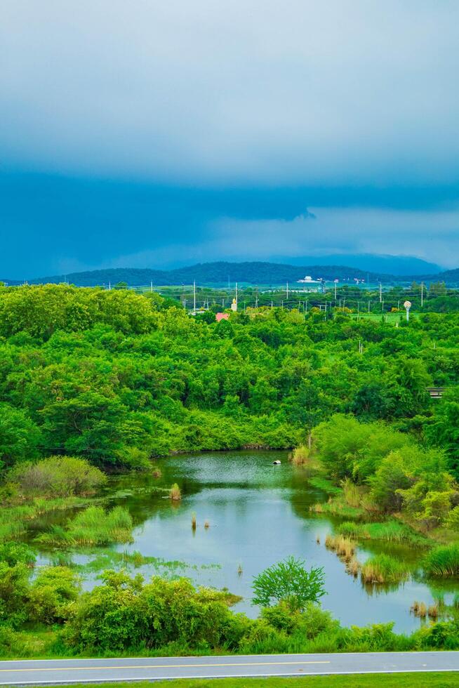 A serene landscape featuring a lush green trees, with a gentle river flowing through the forest under a bright sky. photo