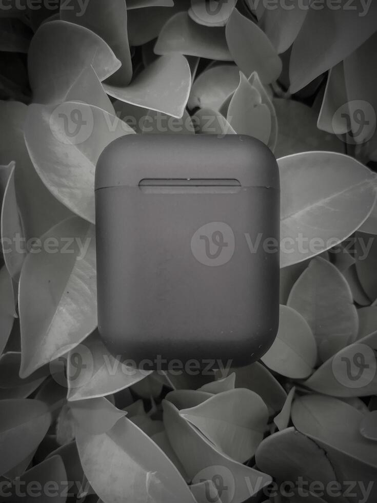 An apple airpods case is surrounded by leaves photo