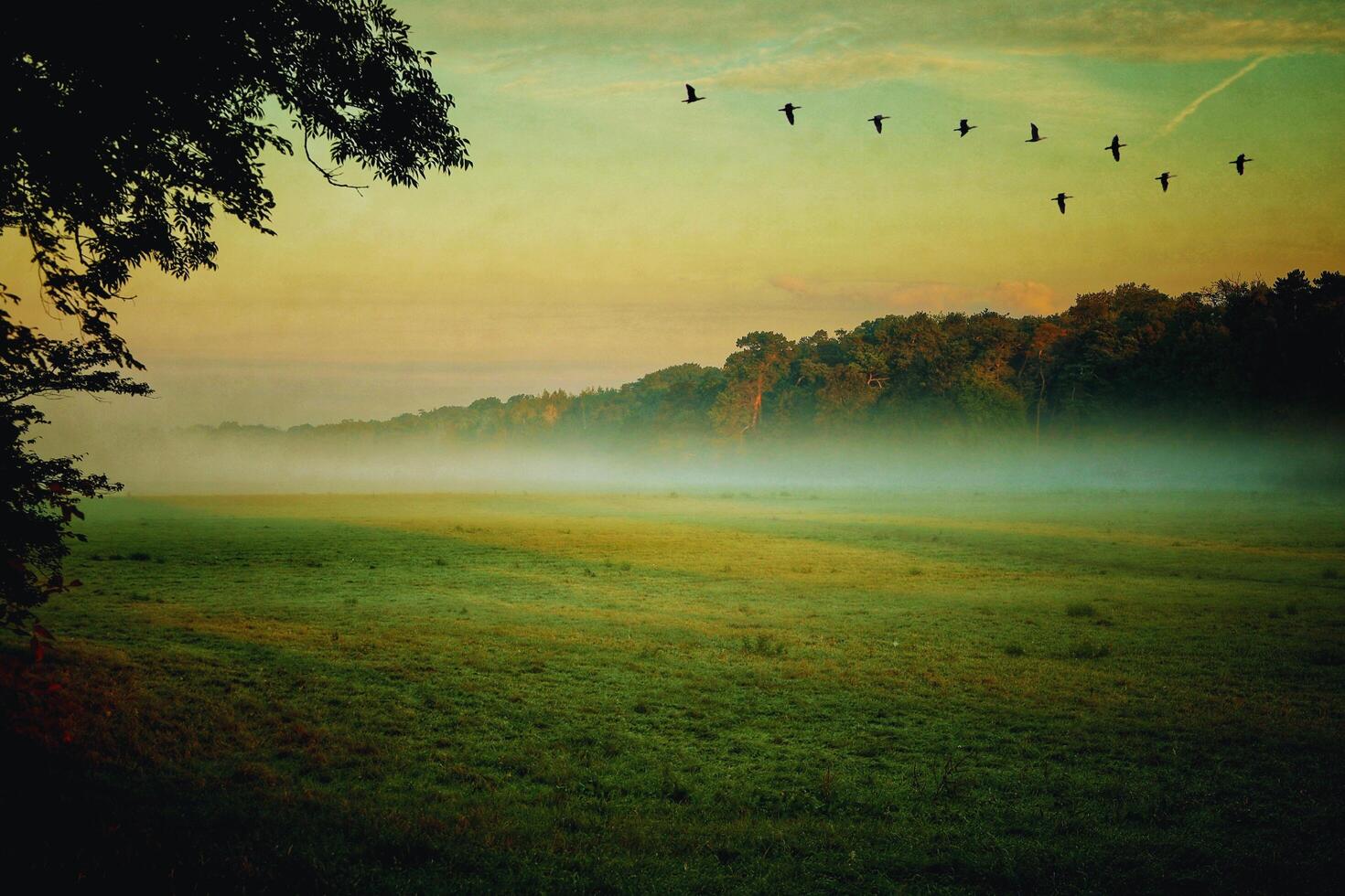 Mystical Mornings Natures Quiet Canvas photo
