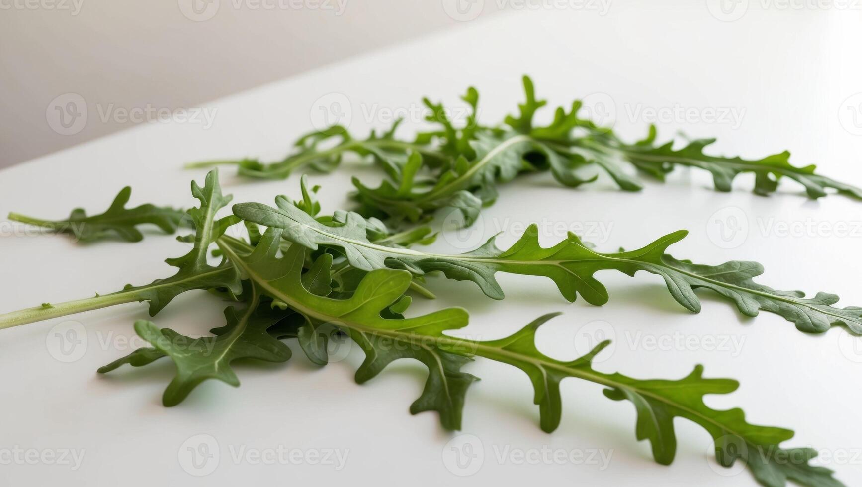 A bunch of green leaves on a white table photo