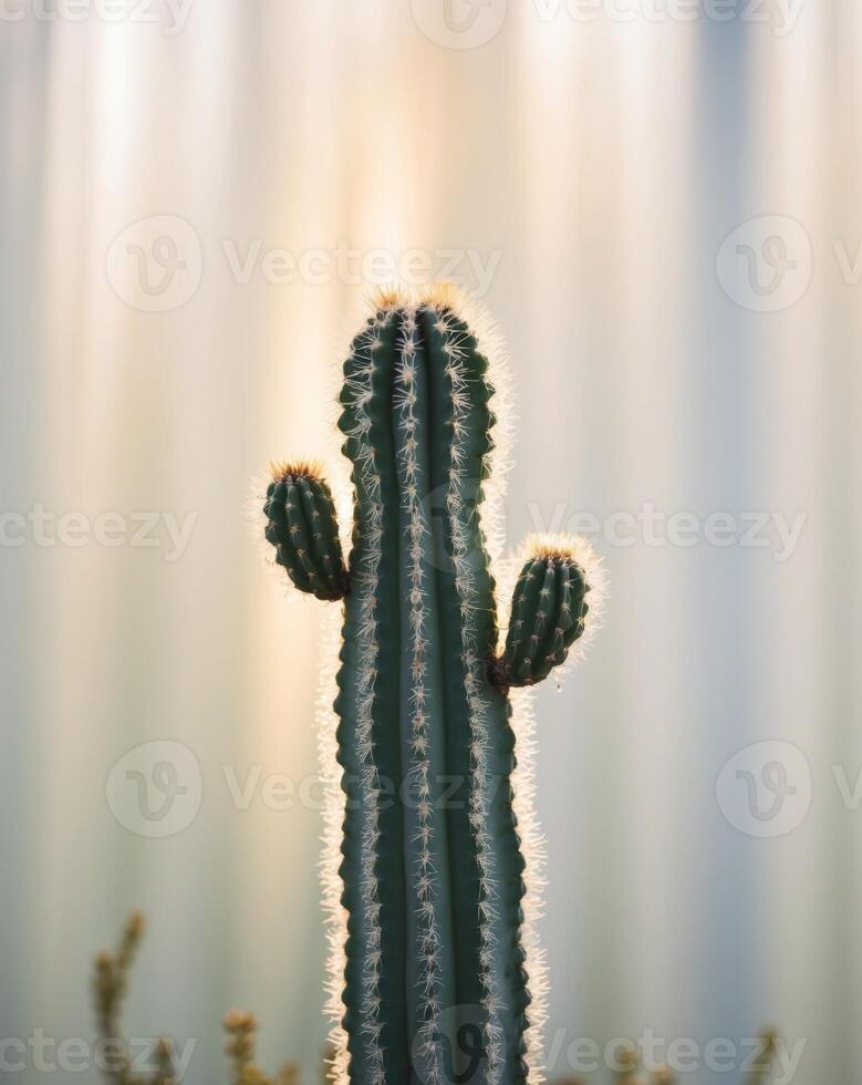 A cactus plant in front of a waterfall photo